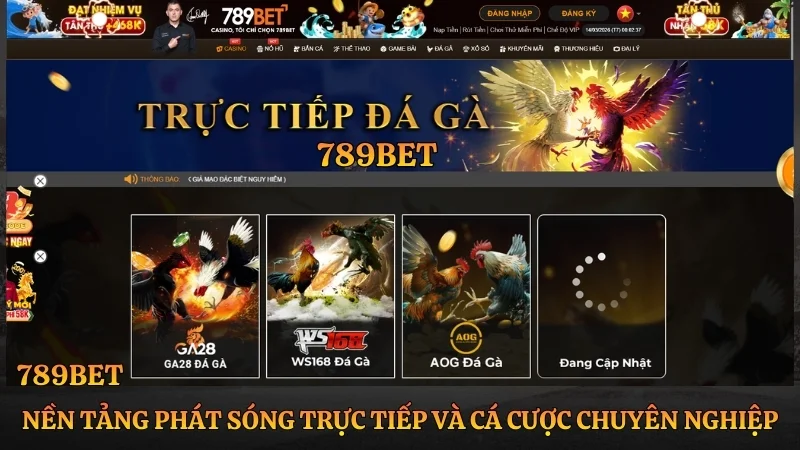 Đá Gà 789BET: Xem Trực Tiếp Thomo & Hướng Dẫn Cá Cược Đá Gà 789BET: Xem Trực Tiếp Thomo & Hướng Dẫn Cá Cược